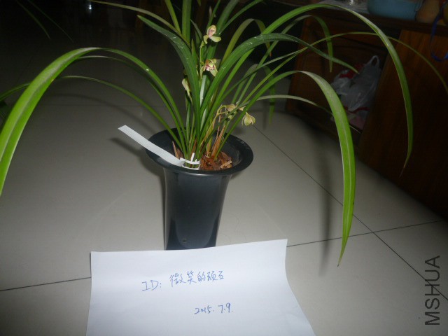 P1090804.JPG