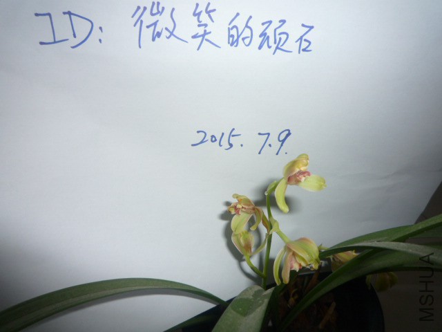 P1090806.JPG