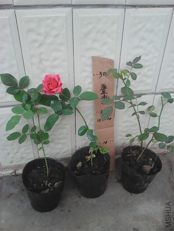QQͼƬ20150710081234.jpg