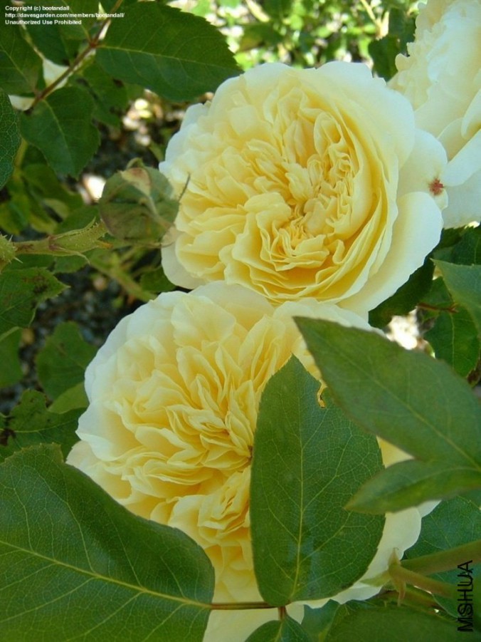 173010niatiytezaativm1.jpg