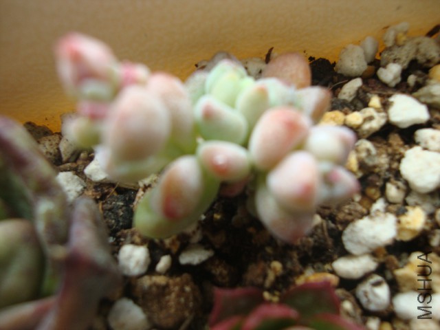 DSC03943.JPG
