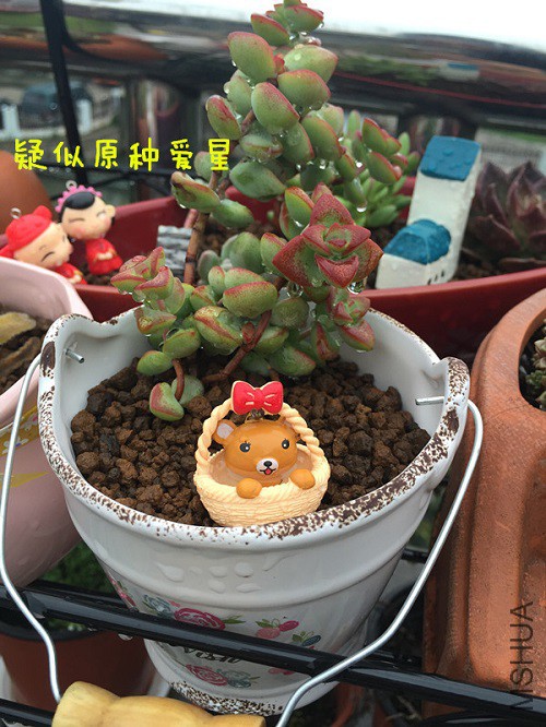 2015.3.20-1.JPG