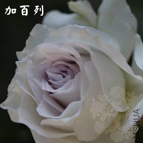 �Ӱ���.jpg