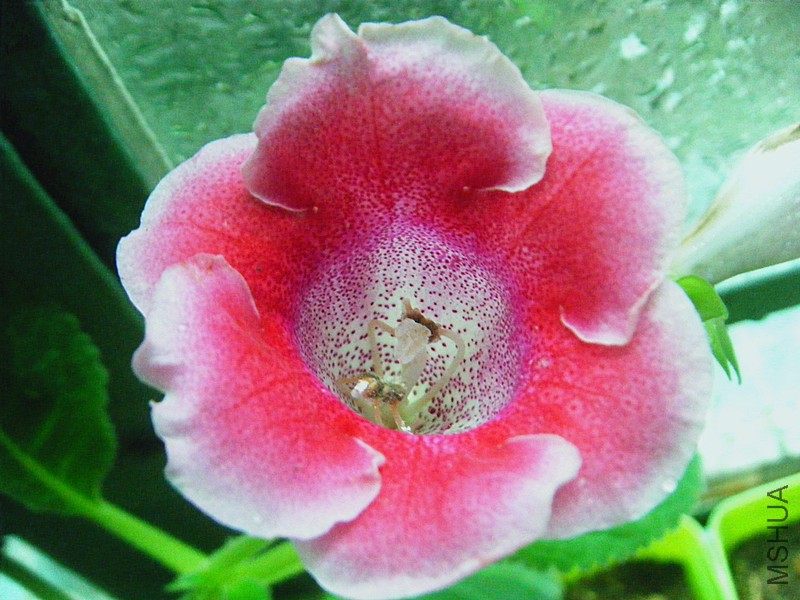 DSCF1325_����.jpg
