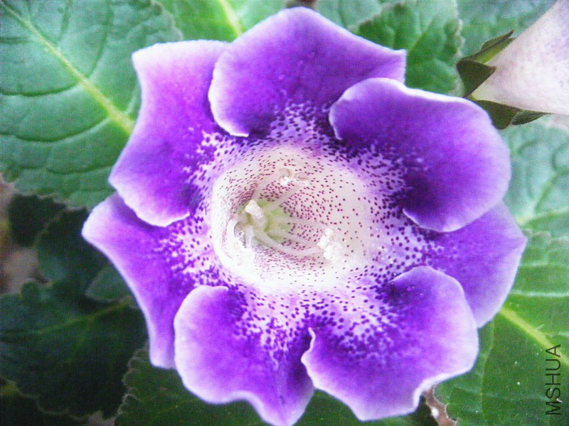DSCF1326_����.jpg