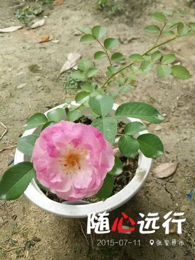 ������ʹ