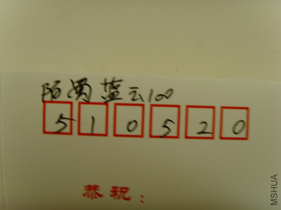 SNV39225.JPG
