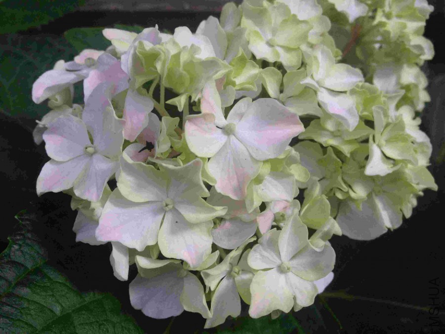 2015-07-06 160605.jpg