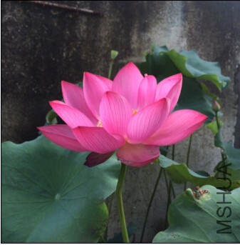 QQ��ͼ20150713152204.jpg