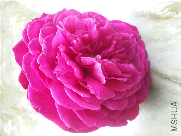 20150713_110558.jpg