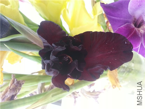 20150713_113809.jpg