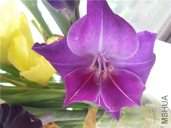 20150713_113812.jpg
