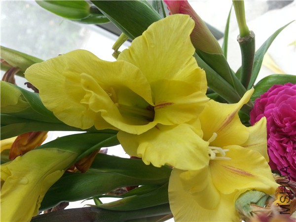 20150713_113819.jpg