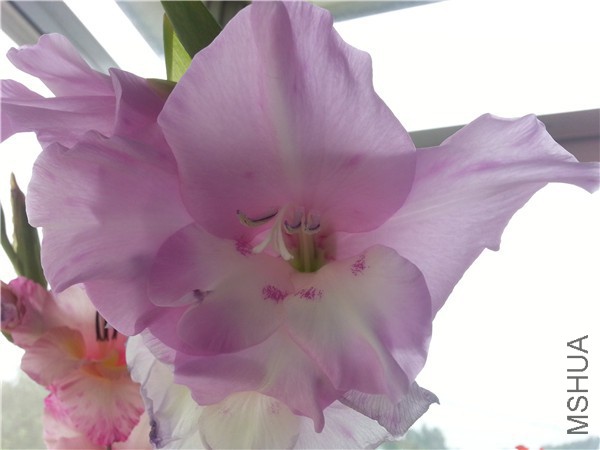 20150713_113857.jpg