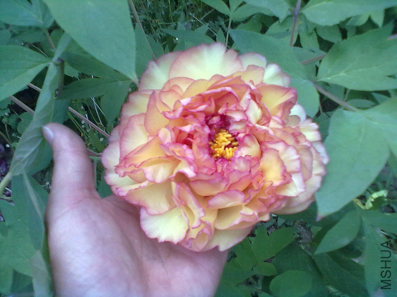 20130502252.jpg