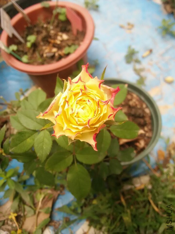 QQͼƬ20150714155548.jpg
