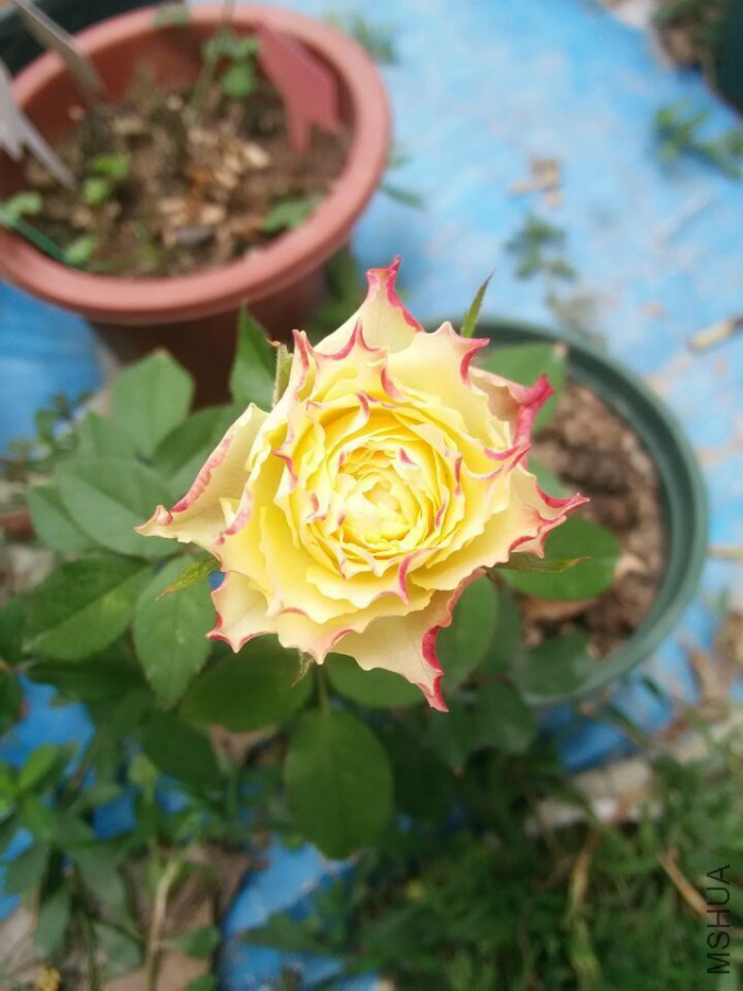 QQͼƬ20150714155017.jpg
