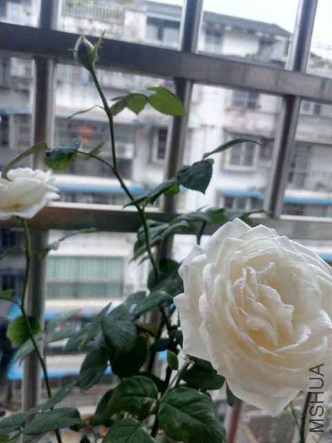 4BEFEC6CA64461BD8EE7FDECB4A51992.jpg