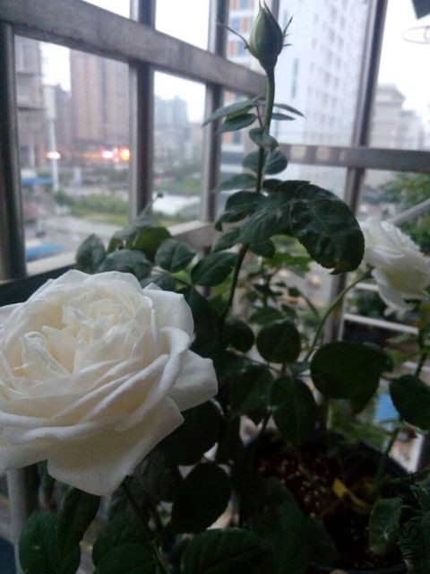 E771515FCC46D1D4A812332DB65F32BA.jpg