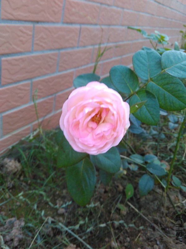 IMG_20150714_184709.jpg