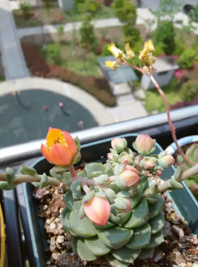 1436907262350.jpeg