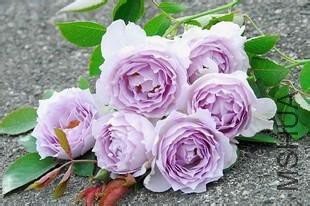 u=597712129,1792554353&amp;fm=15&amp;gp=0.jpg