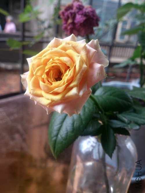 ȫ����С��