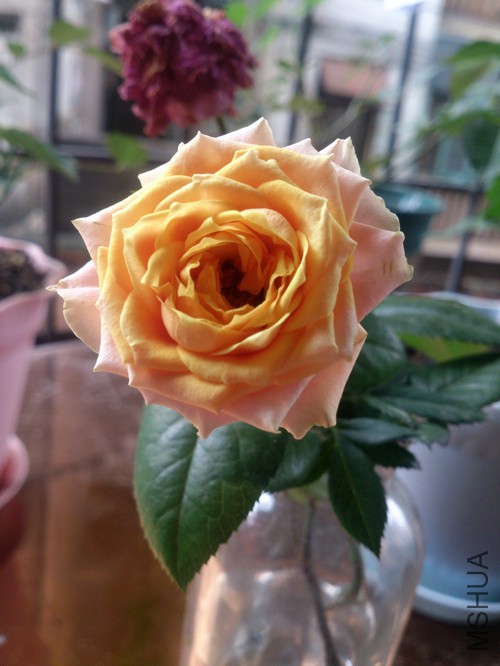 ȫ����С��