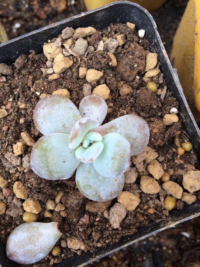 QQͼƬ20150715132258.jpg