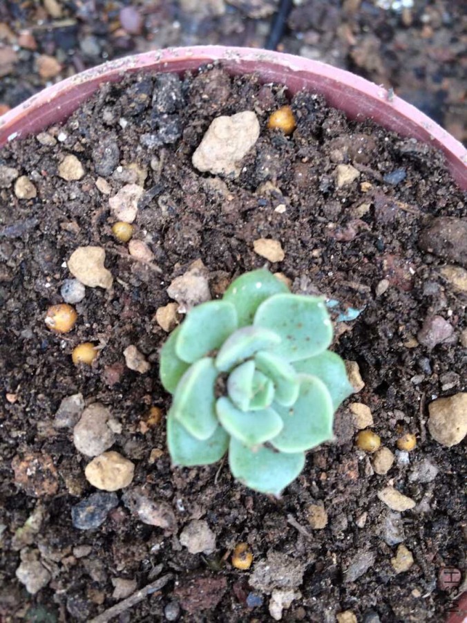 QQͼƬ20150715132235.jpg