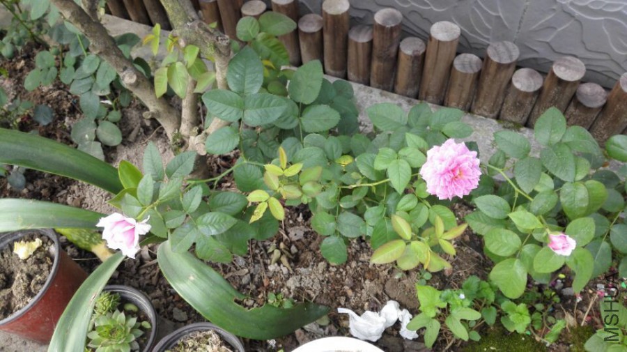 QQͼƬ20150716082044.jpg