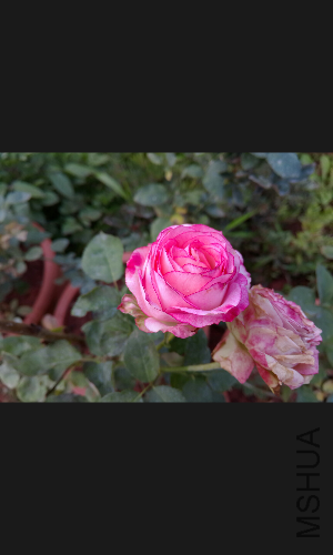 S50716-121438.jpg