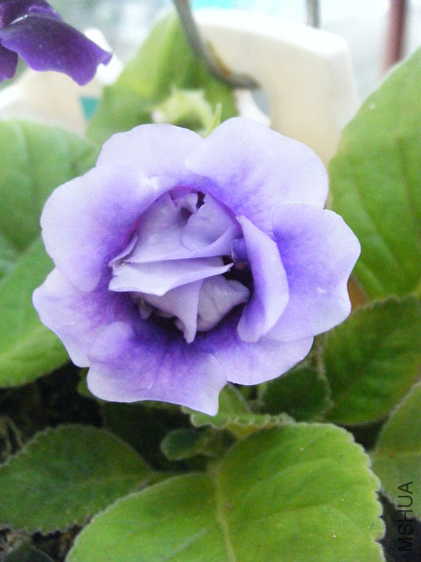 DSCF1343_����.jpg