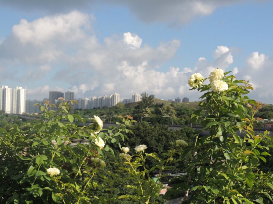 QQͼƬ20150716131918.jpg