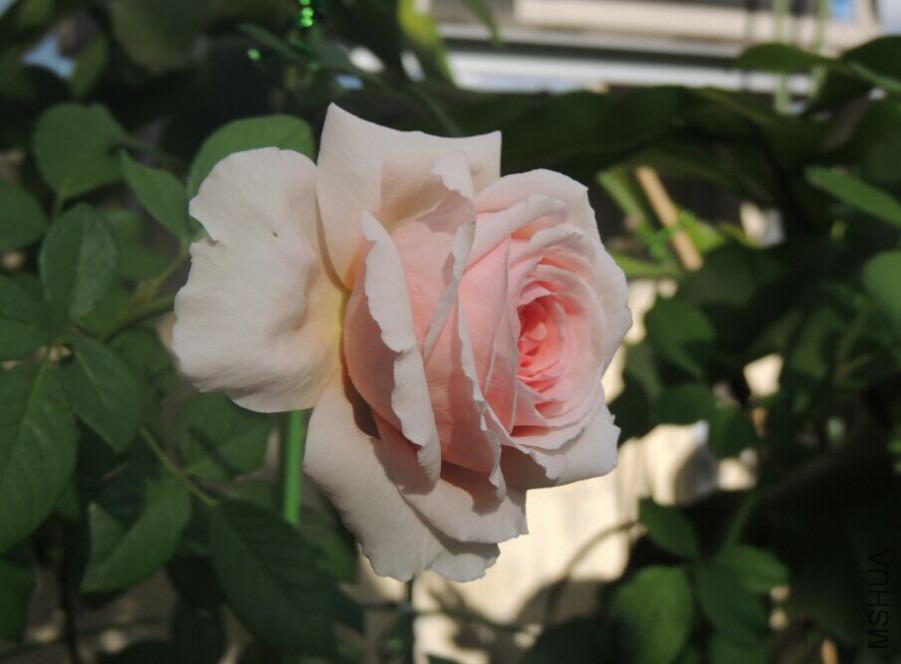 QQͼƬ20150716131942.jpg