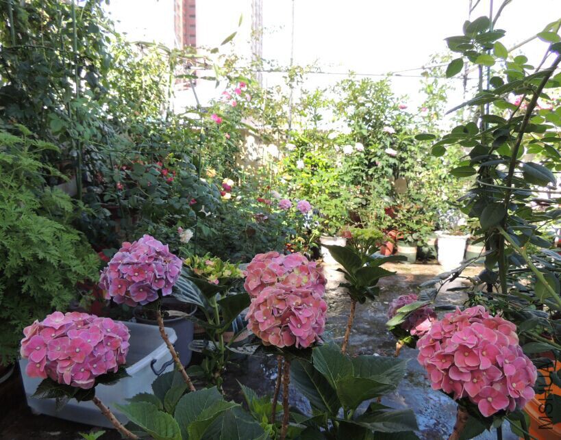 QQͼƬ20150716133022.jpg