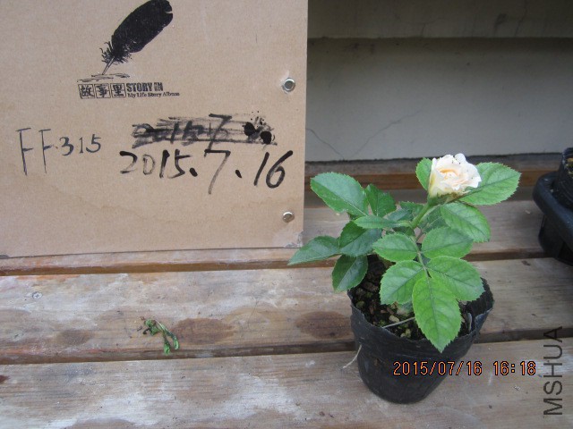 IMG_9615.JPG
