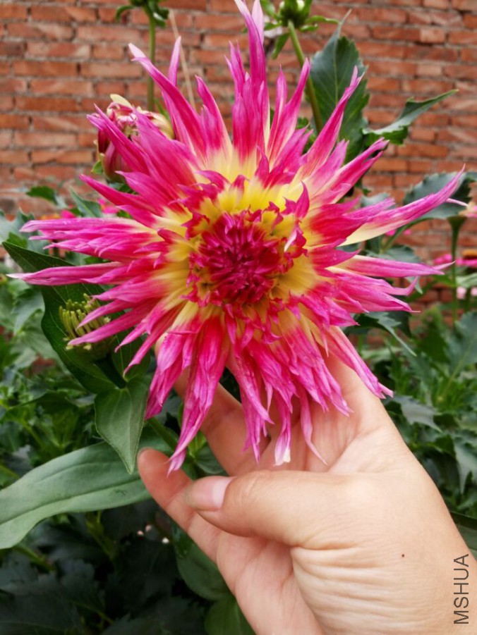 QQͼƬ20150717085920.jpg
