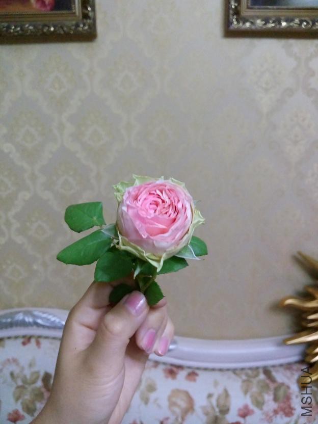 IMG_20150716_203112.jpg