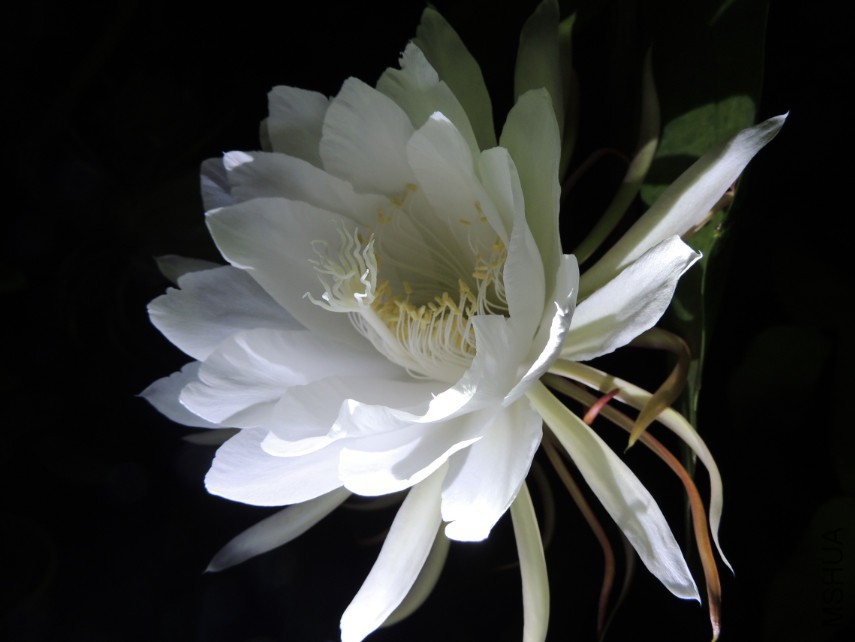 QQͼƬ20150716140913.jpg