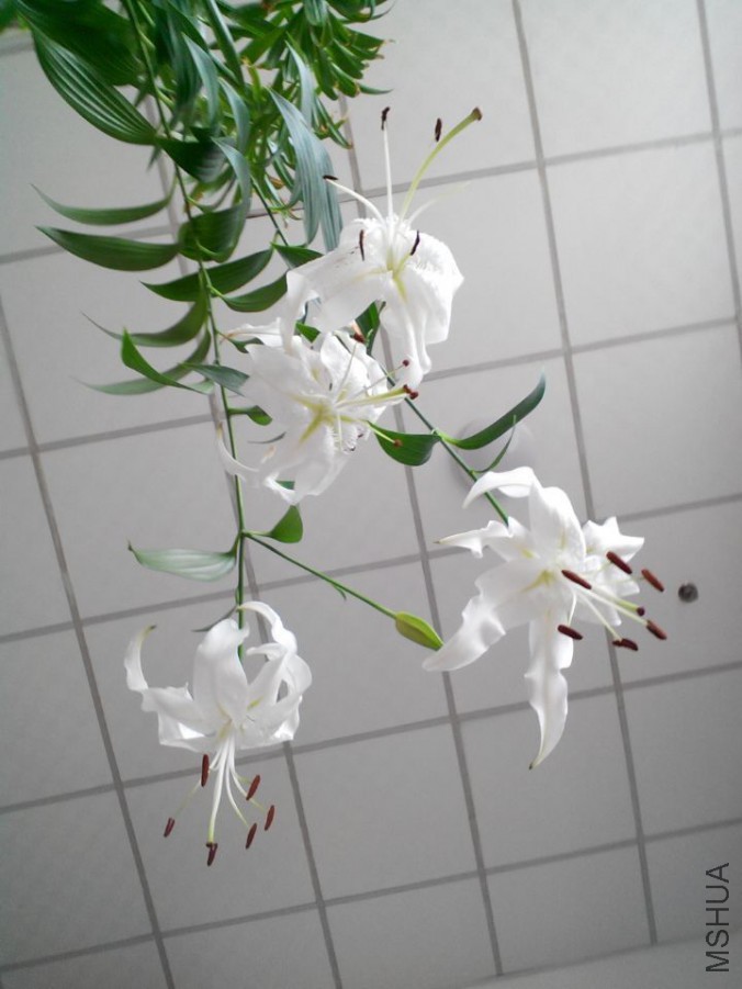 QQͼƬ20150712130610.jpg