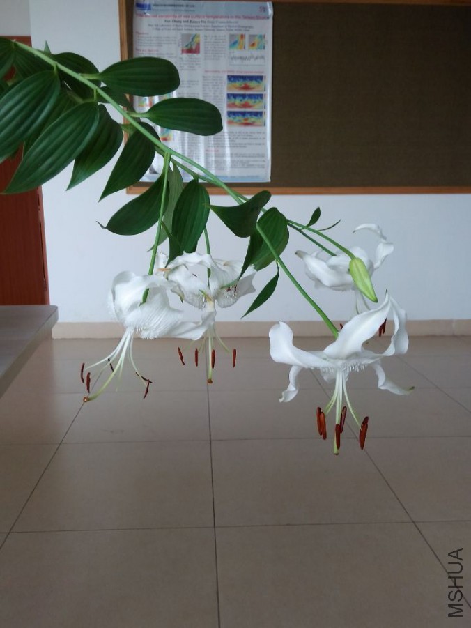 QQͼƬ20150712130601.jpg