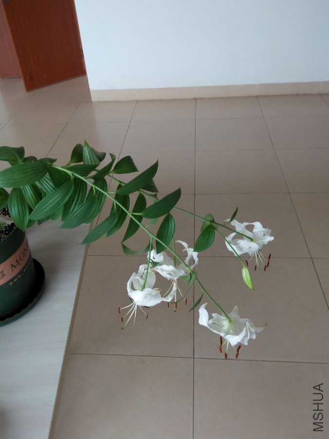 QQͼƬ20150709151419.jpg
