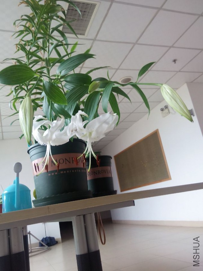 QQͼƬ20150708115429.jpg
