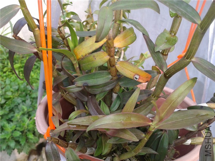 2015-07-18 07.27.02.jpg