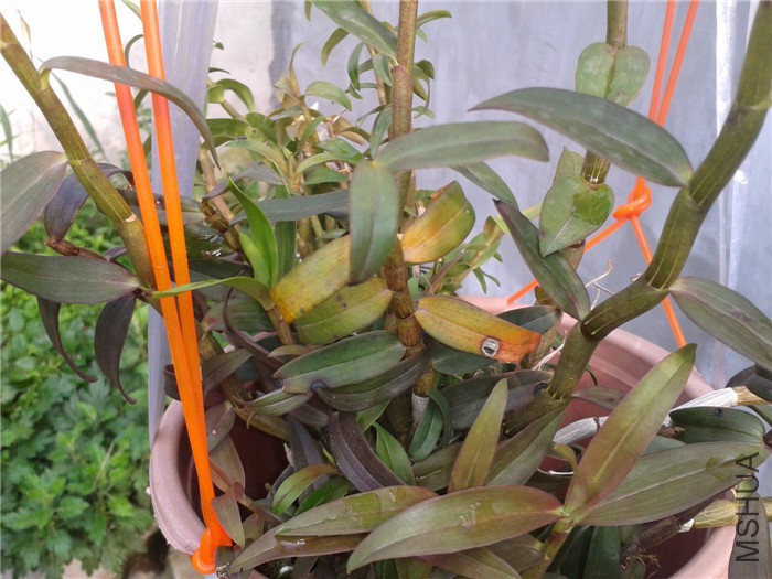 2015-07-18 07.26.39.jpg