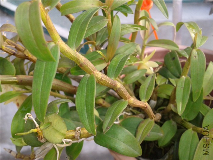 2015-07-18 07.26.50.jpg