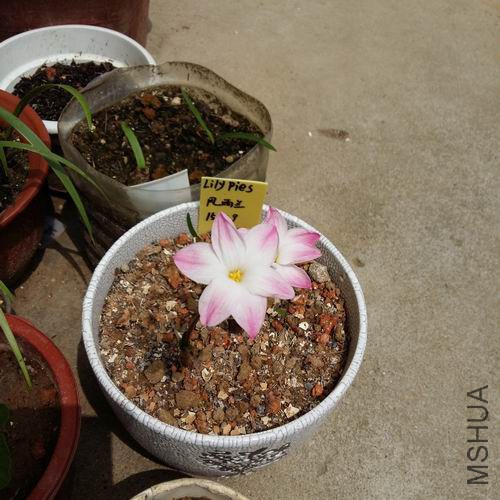 20150718С��3.jpg