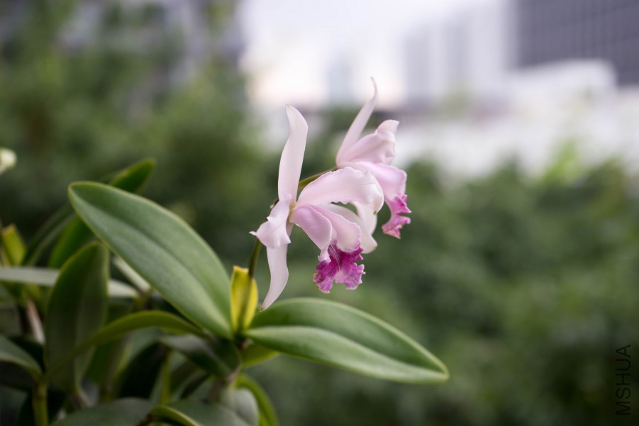 20150716-DSC00093.jpg