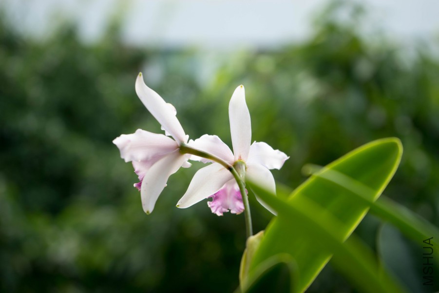 20150718-DSC00147.jpg